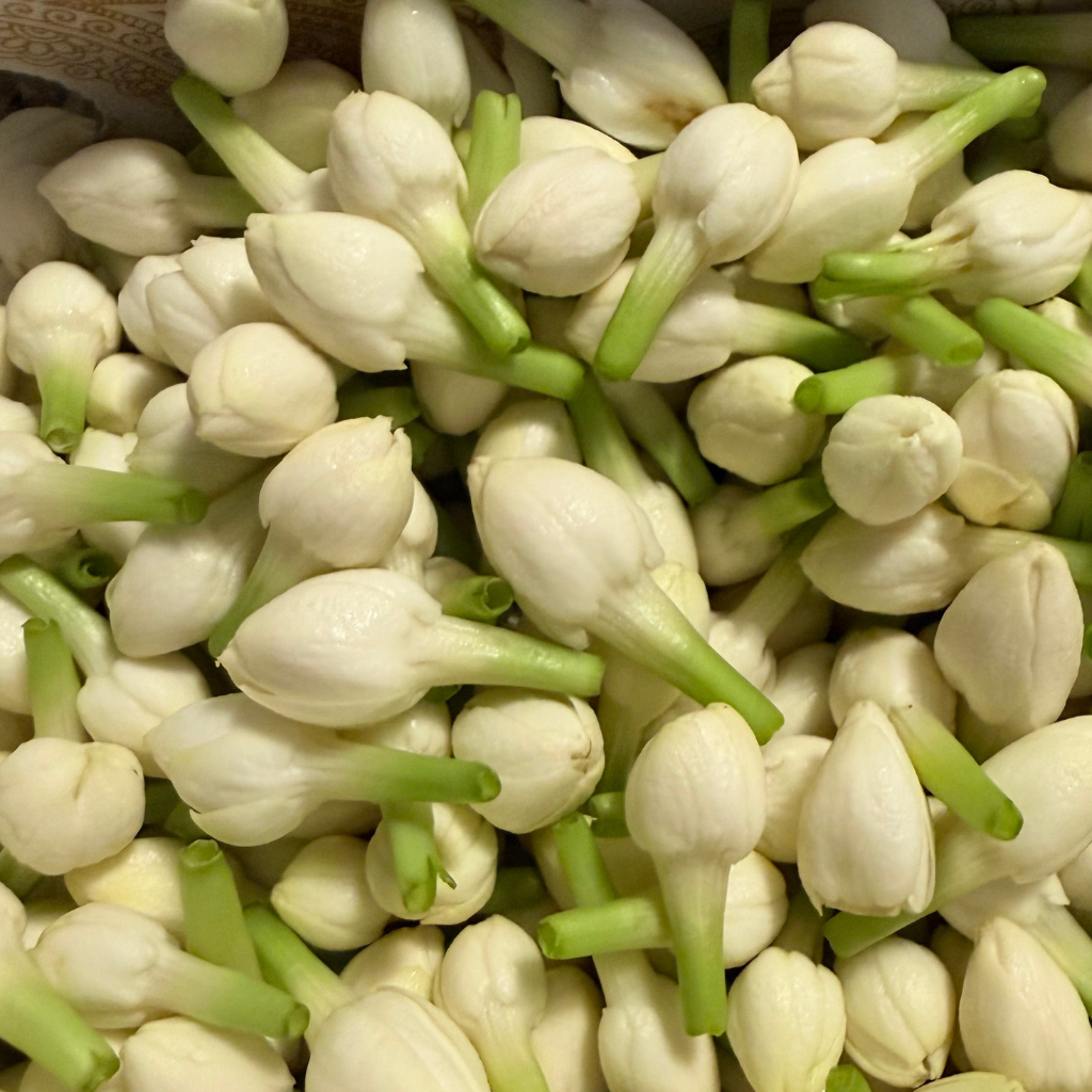 Fresh Jasmine Flower Loose – Malle Puvvu (Telugu) | Chameli Phool (Hindi) | Malligai Poo (Tamil) | Jasmine Loose (English)| box