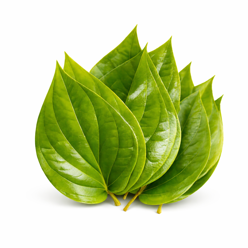 తమలపాకు (Tamalapaku) | पान पत्ता (Paan Patta) | வெற்றிலை (Vetrilai) | Pan Leaves / paan Leaves – 10 Each