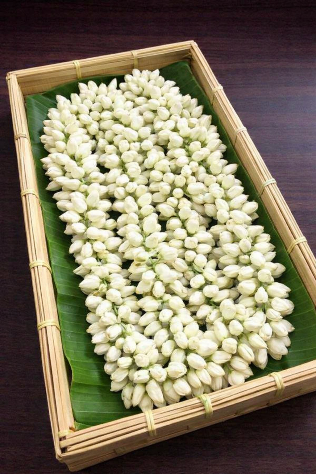Fresh Jasmine Flower String – Mogga Puvvu (Telugu) | Chameli Phool (Hindi) | Malligai Poo (Tamil) | Jasmine String (English)