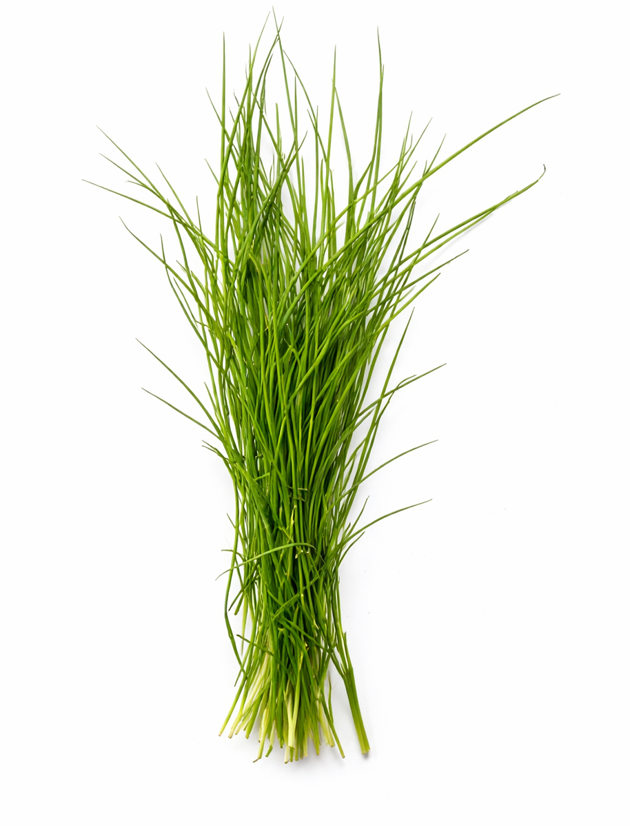 గరిక (Garika) | दूर्वा घास (Durva Grass) | அறுகம்புல் (Arugampul) | Durva Grass – 1 Pack
